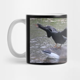 Isn't This What A Decoy Is For? Mug